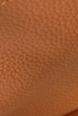 Ateena Leather Tote Bag