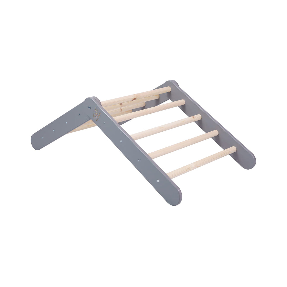Ladder and Slide/Climbing Wall