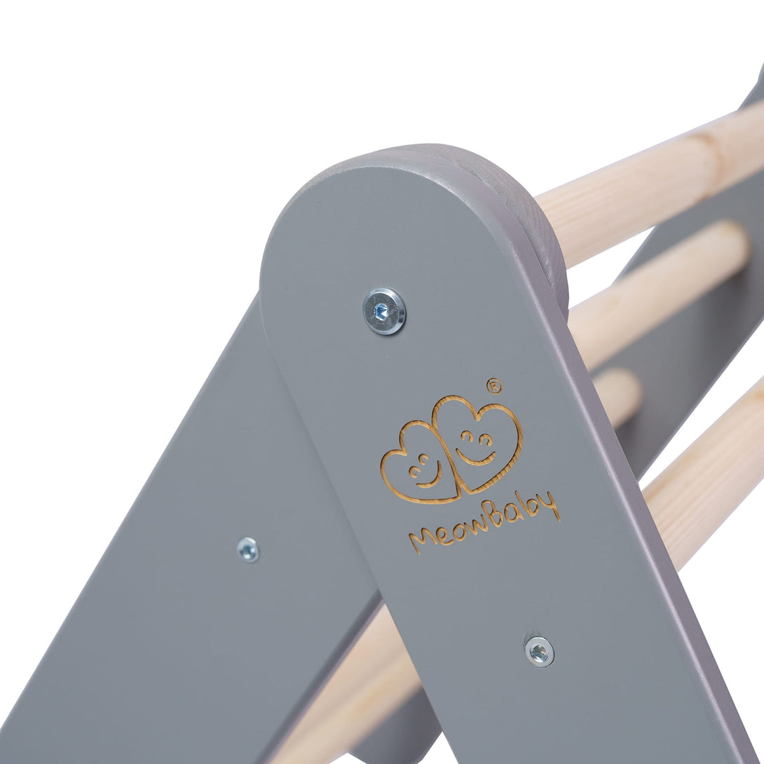 Ladder and Slide/Climbing Wall