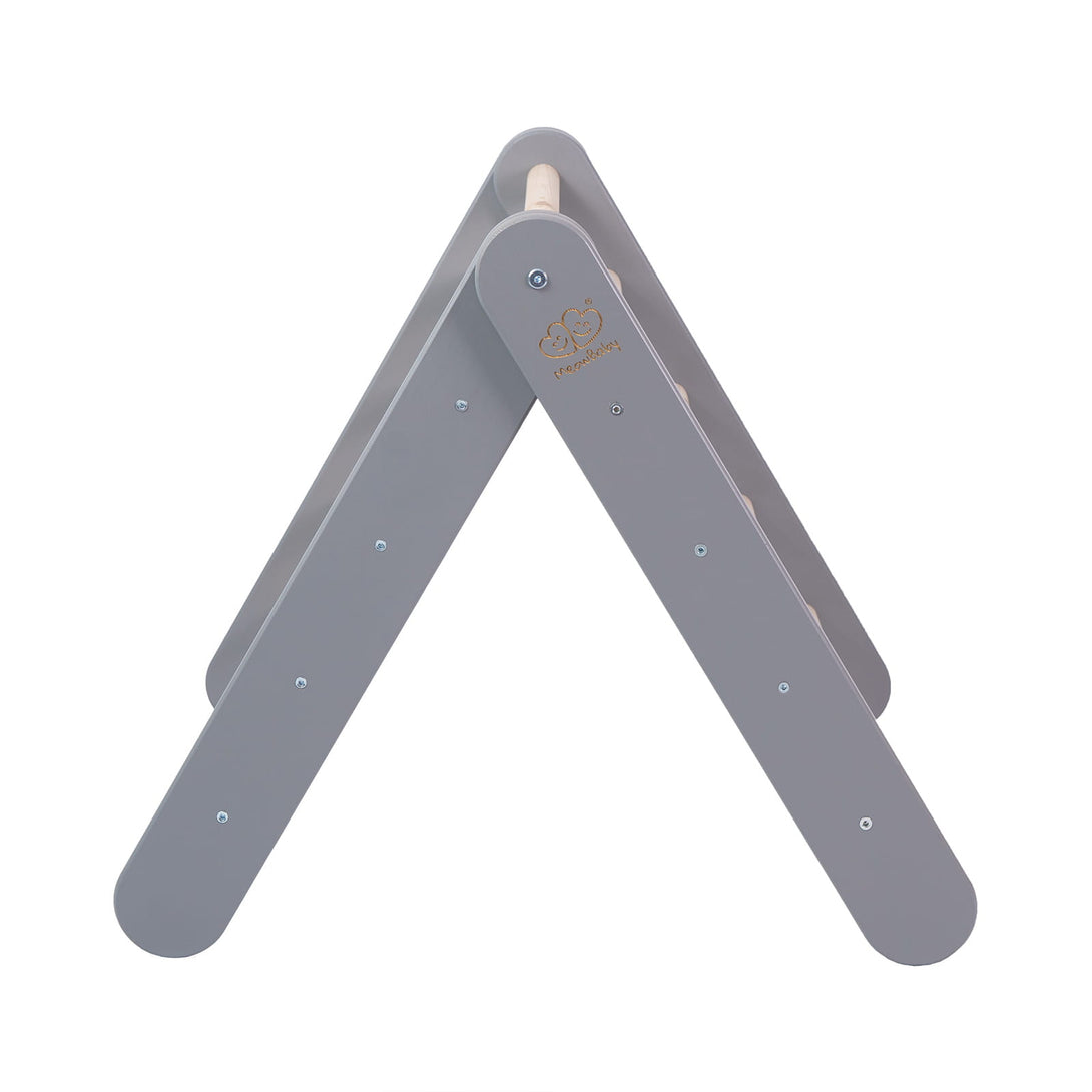 Ladder and Slide/Climbing Wall