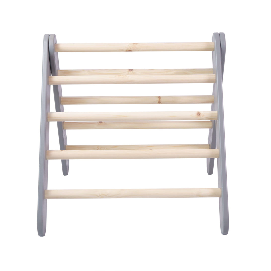 Ladder and Slide/Climbing Wall