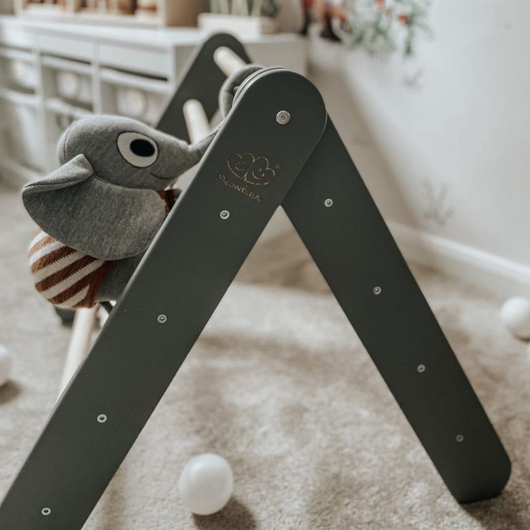 Ladder and Slide/Climbing Wall