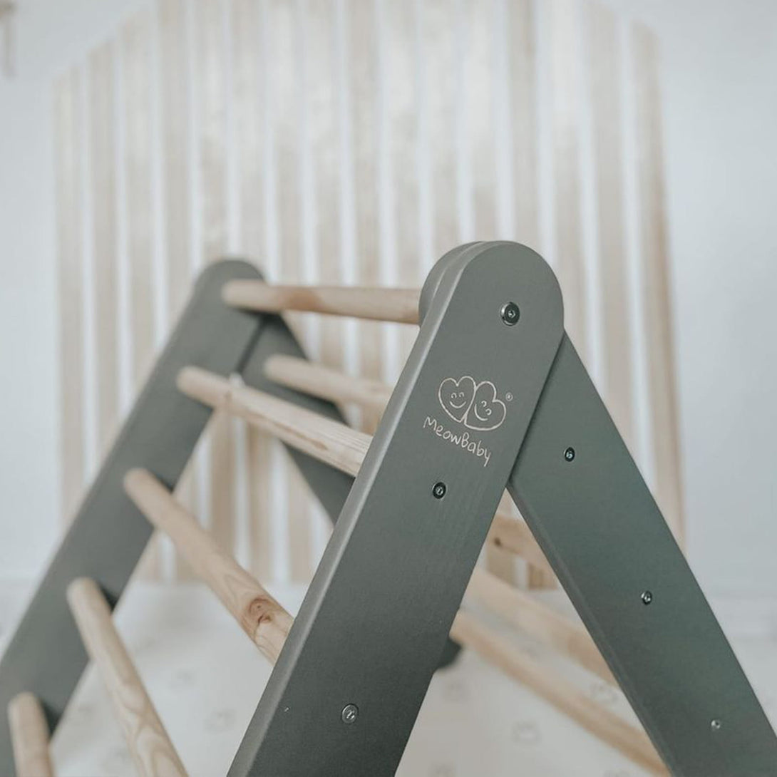 Ladder and Slide/Climbing Wall
