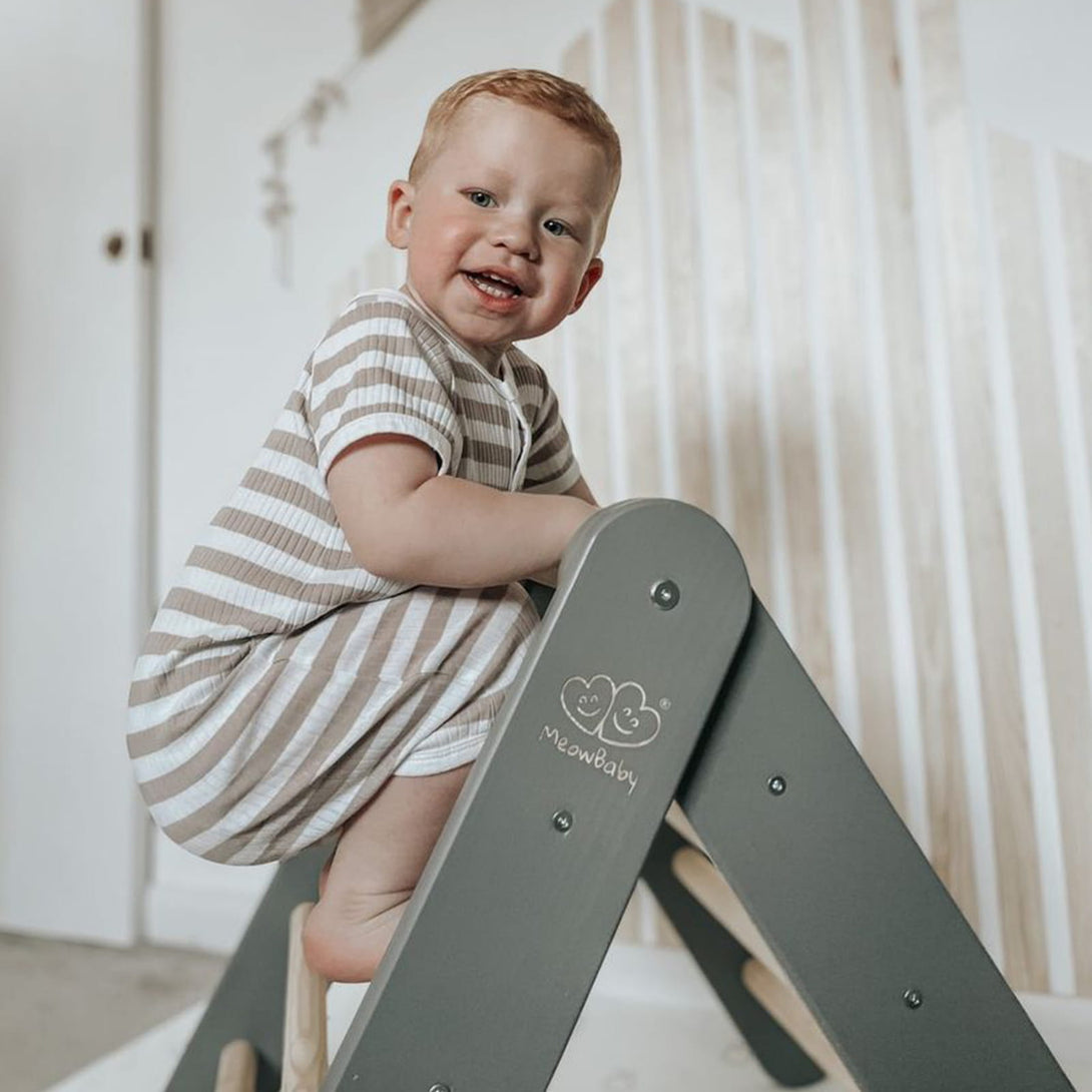 Ladder and Slide/Climbing Wall