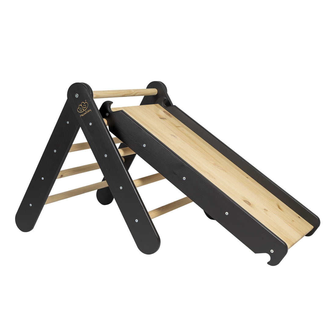 Ladder and Slide/Climbing Wall