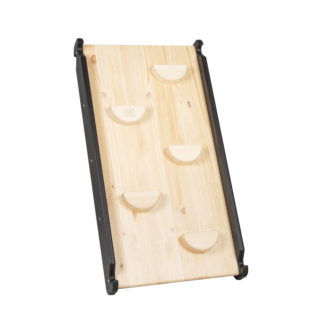 Ladder and Slide/Climbing Wall