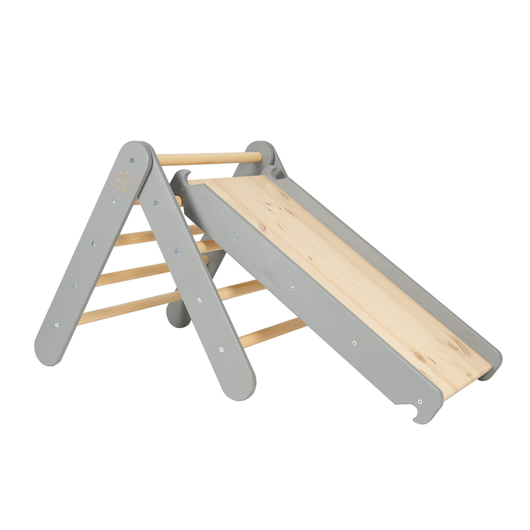 Ladder and Slide/Climbing Wall