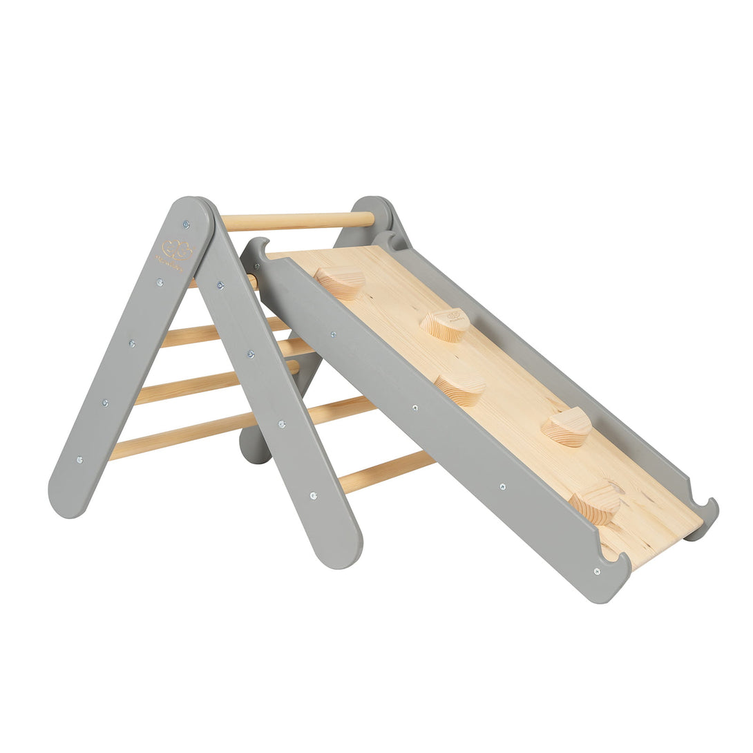 Ladder and Slide/Climbing Wall