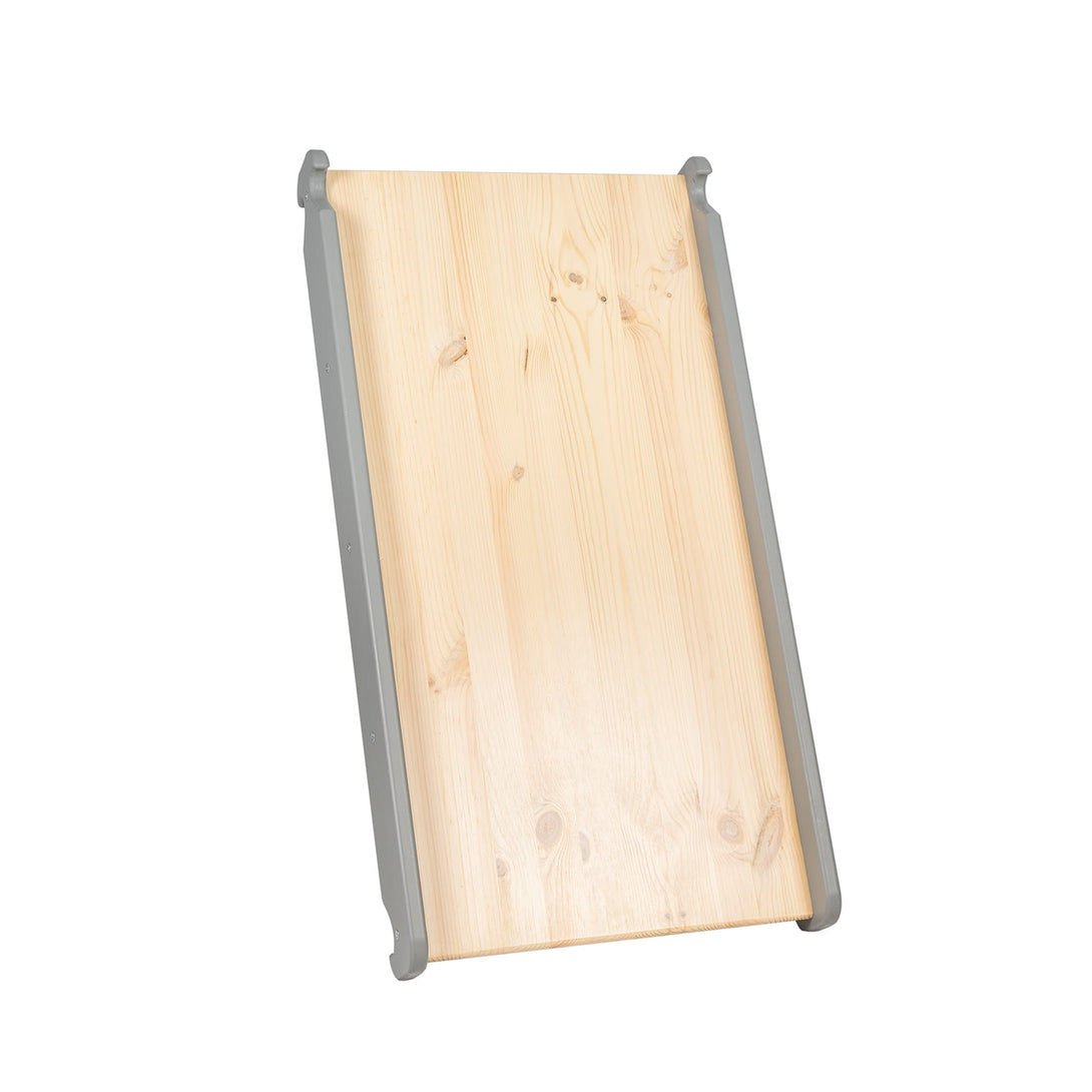 Ladder and Slide/Climbing Wall