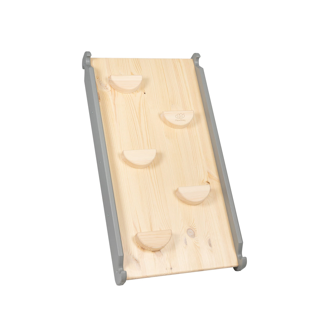 Ladder and Slide/Climbing Wall