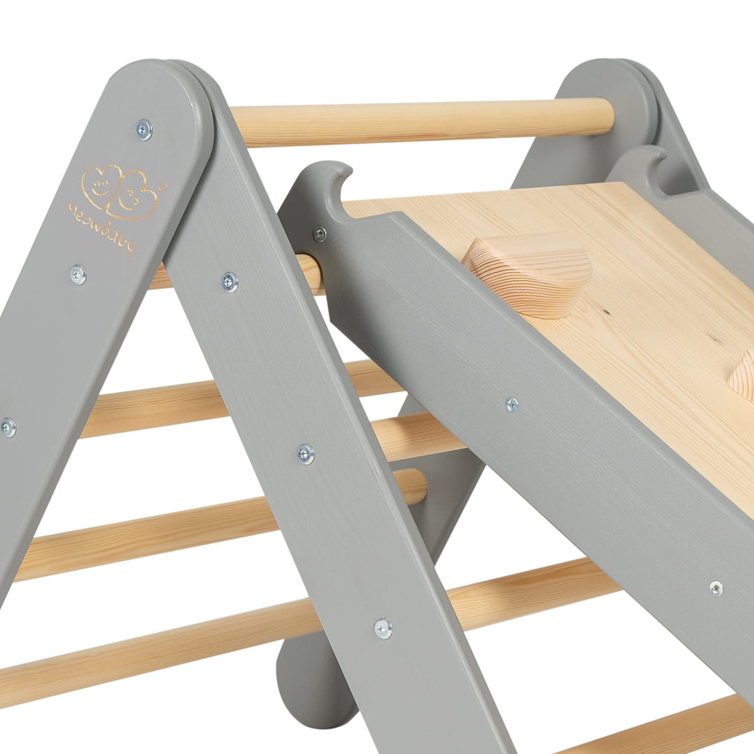 Ladder and Slide/Climbing Wall