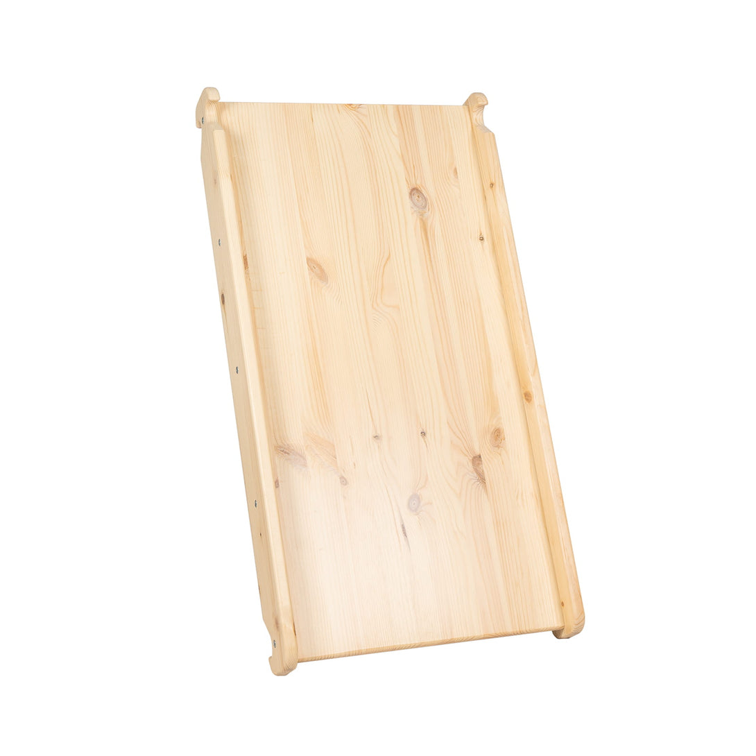 Ladder and Slide/Climbing Wall