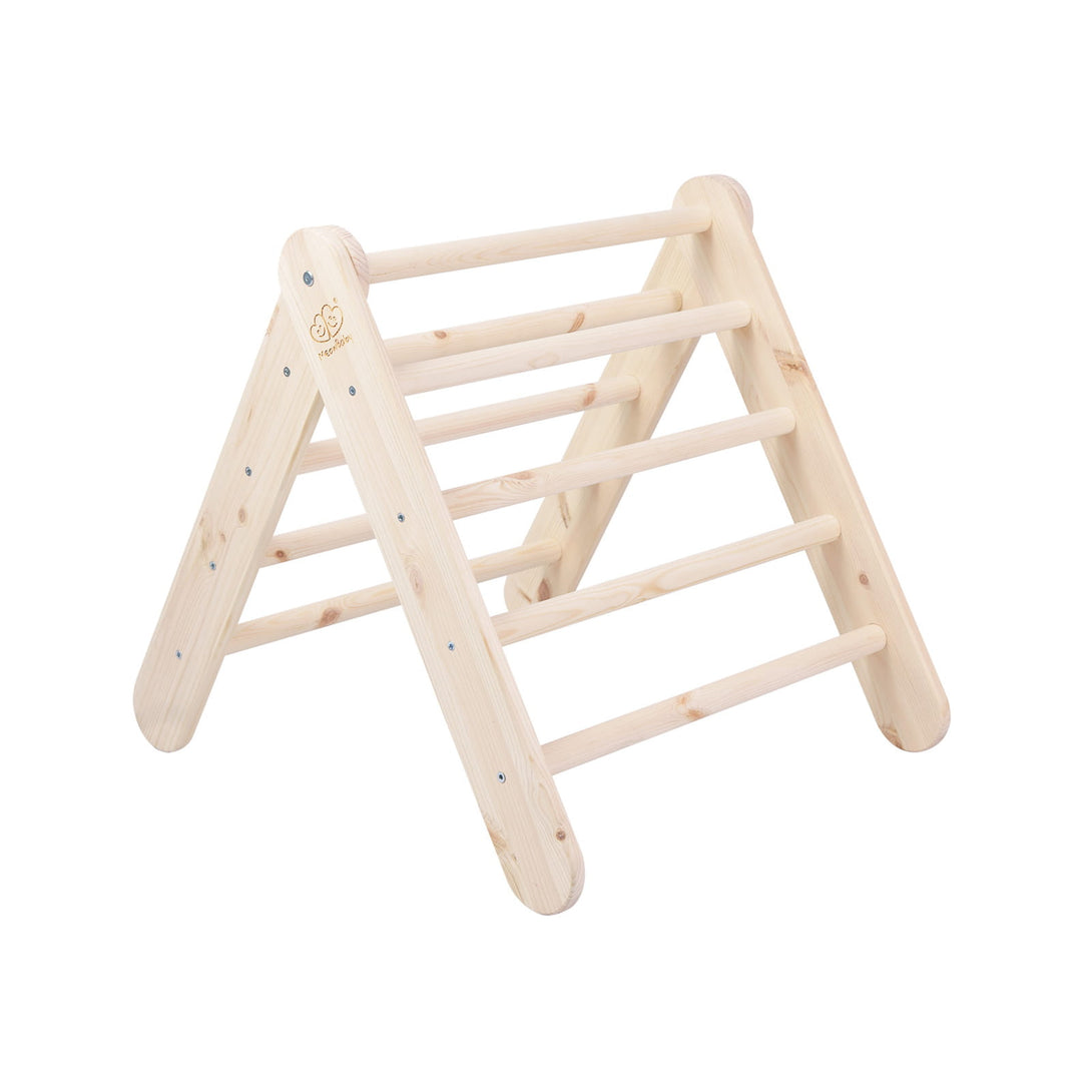 Ladder and Slide/Climbing Wall