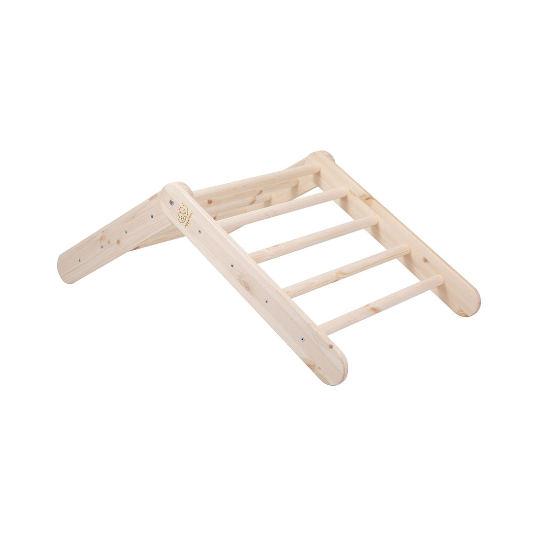 Ladder and Slide/Climbing Wall