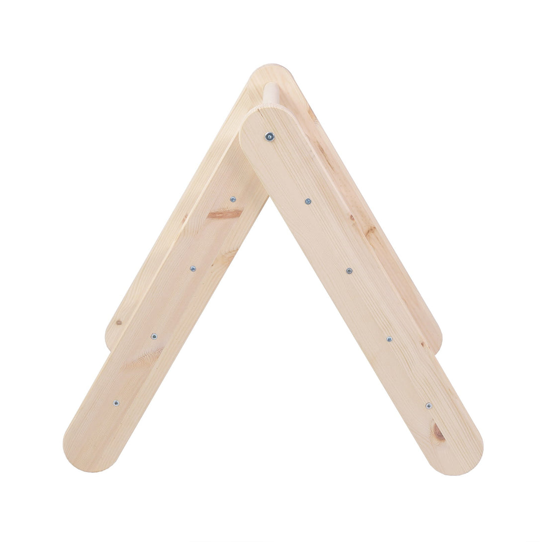 Ladder and Slide/Climbing Wall