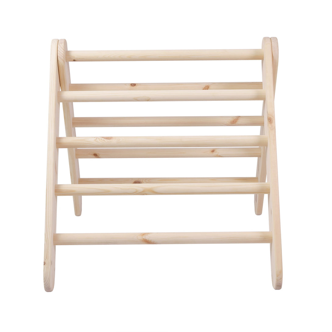 Ladder and Slide/Climbing Wall