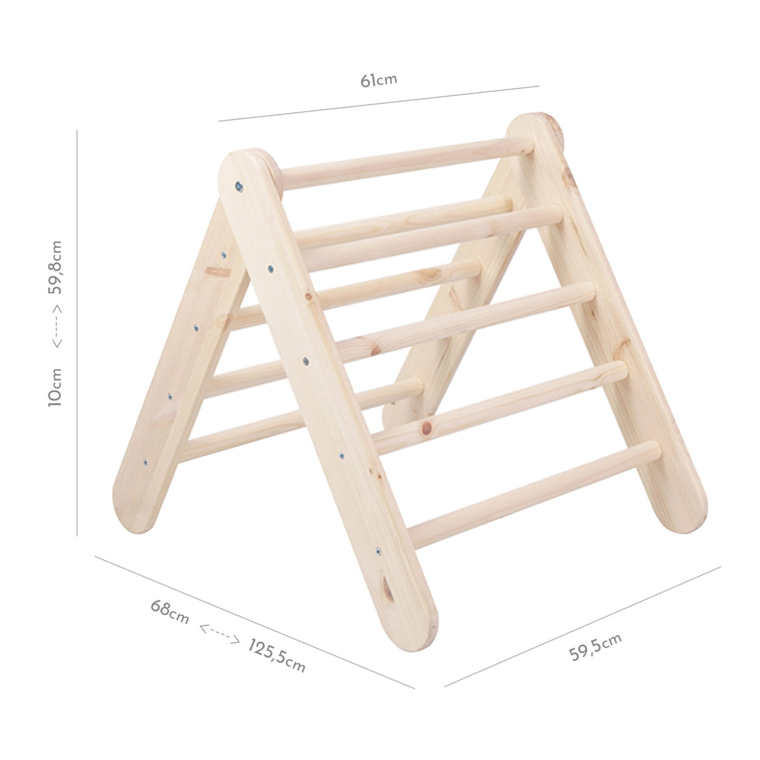 Ladder and Slide/Climbing Wall