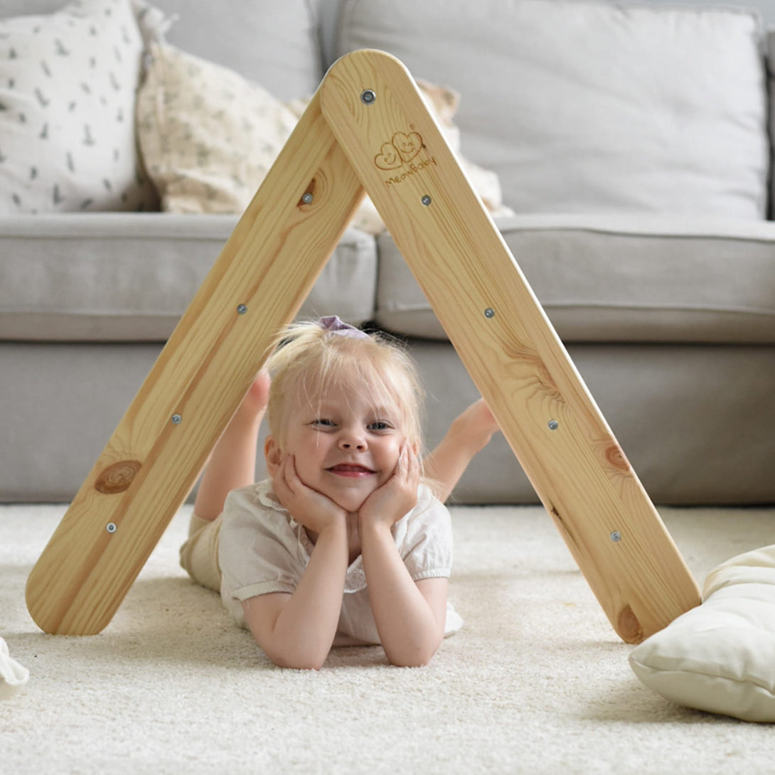 Ladder and Slide/Climbing Wall