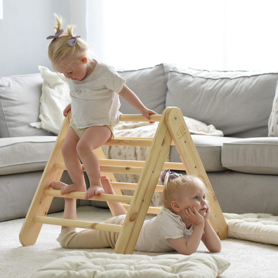 Ladder and Slide/Climbing Wall