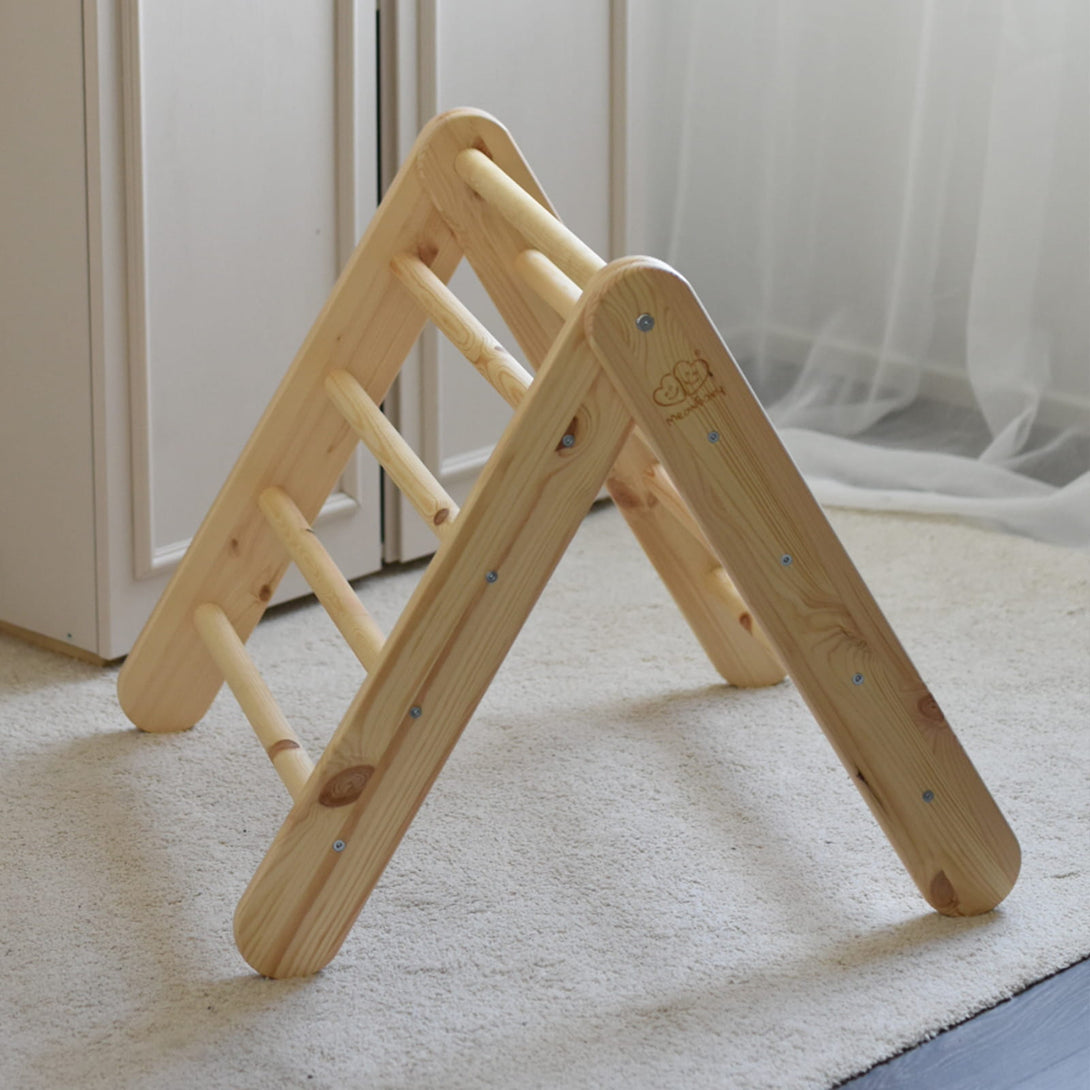 Ladder and Slide/Climbing Wall