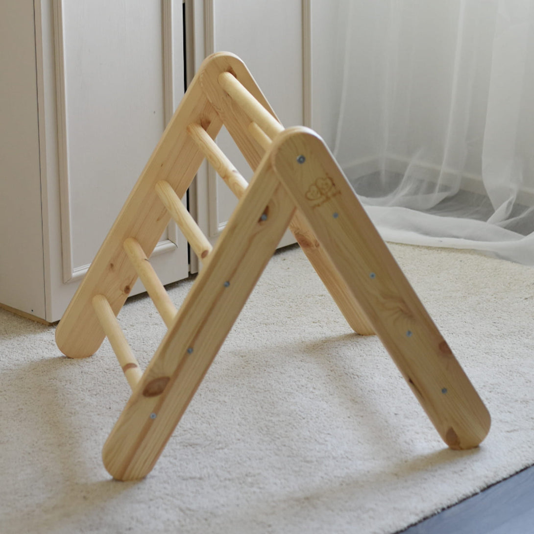 Ladder and Slide/Climbing Wall